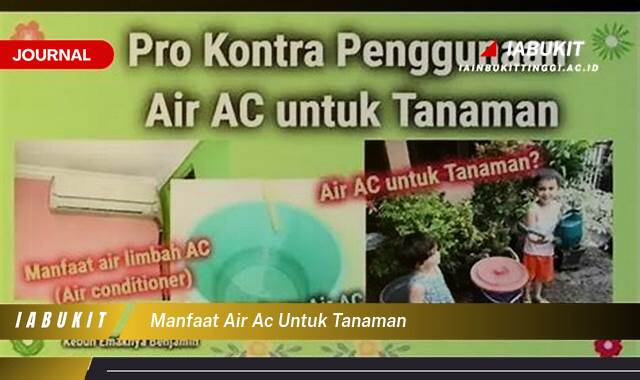 Inilah 10 Manfaat Air AC untuk Tanaman, Siram Tanaman dengan Hemat dan Efektif Inilah 10 Manfaat Air AC untuk Tanaman, Siram Tanaman dengan Hemat dan Efektif