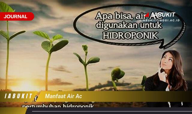 Inilah 10 Manfaat Air AC yang Jarang Diketahui dan Cara Memanfaatkannya