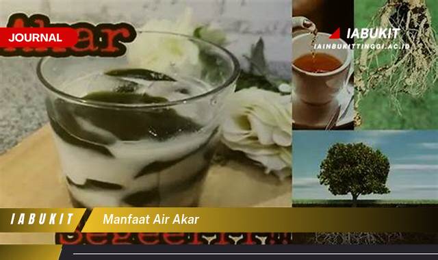Inilah 9 Manfaat Air Akar untuk Kesehatan Tubuh Anda