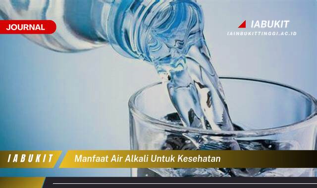 Inilah 9 Manfaat Air Alkali untuk Kesehatan, Meningkatkan Energi dan Imunitas Tubuh Anda