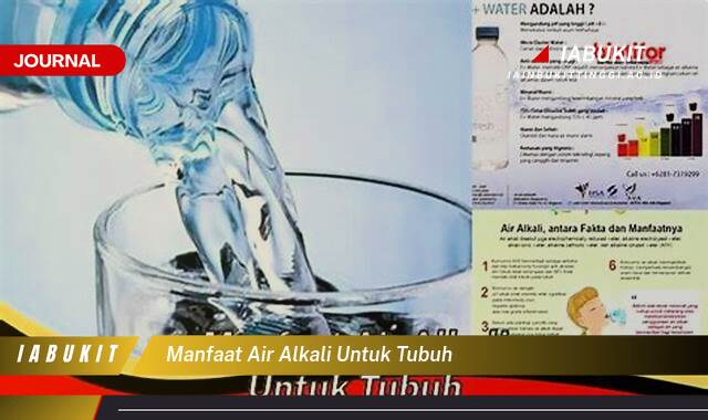 Inilah 9 Manfaat Air Alkali untuk Tubuh, Meningkatkan Kesehatan dan Kesejahteraan Anda