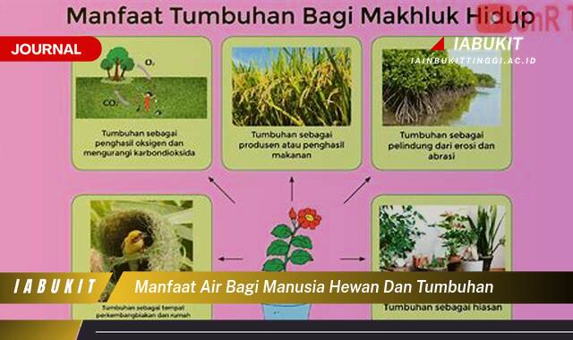Inilah 8 Manfaat Air bagi Manusia, Hewan, dan Tumbuhan, Panduan Lengkap dan Mendalam