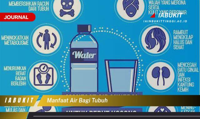 Inilah 8 Manfaat Air Bagi Tubuh, Pentingnya Hidrasi untuk Kesehatan Optimal