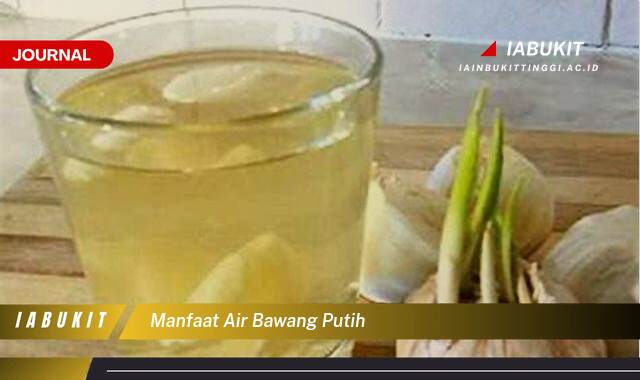 Inilah 10 Manfaat Air Bawang Putih untuk Kesehatan, Kecantikan, dan Cara Membuatnya