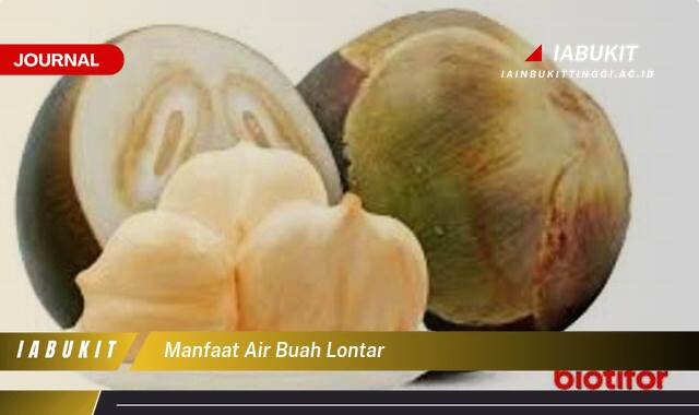 Inilah 10 Manfaat Air Buah Lontar untuk Kesehatan Tubuh Anda