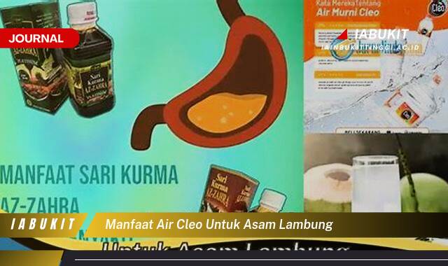 Inilah 8 Manfaat Air Cleo untuk Asam Lambung, Mengatasi Maag dan GERD Secara Alami Inilah 8 Manfaat Air Cleo untuk Asam Lambung, Mengatasi Maag dan GERD Secara Alami