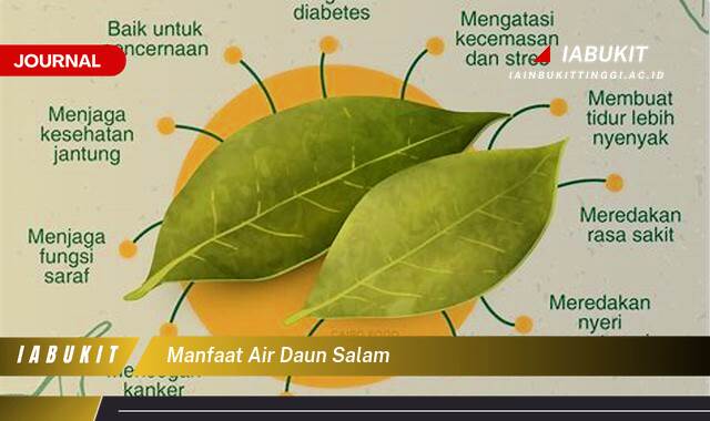 Inilah 9 Manfaat Air Daun Salam untuk Kesehatan Tubuh Anda