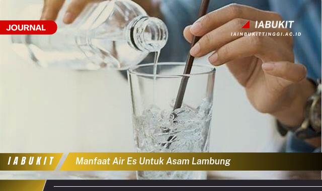 Inilah 8 Manfaat Air Es untuk Asam Lambung, Meredakan Gejala dan Tips Aman Konsumsi