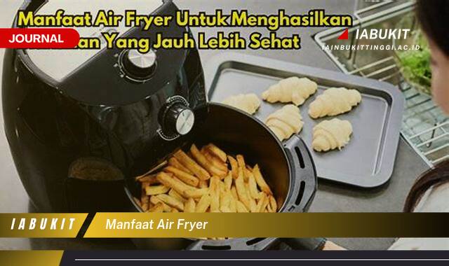 Inilah 8 Manfaat Air Fryer untuk Kesehatan, Menggoreng Lebih Sehat dan Praktis