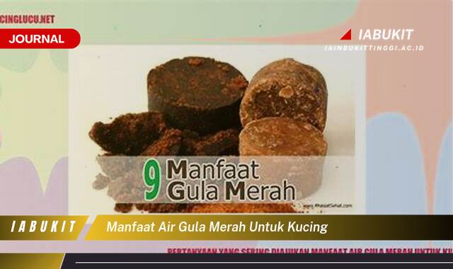 Inilah 9 Manfaat Air Gula Merah untuk Kucing, Mitos vs. Fakta dan Panduan Aman Inilah 9 Manfaat Air Gula Merah untuk Kucing, Mitos vs. Fakta dan Panduan Aman