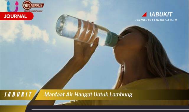 Inilah 10 Manfaat Air Hangat untuk Lambung, Redakan Maag, Lancarkan Pencernaan, dan Tips Minum yang Tepat
