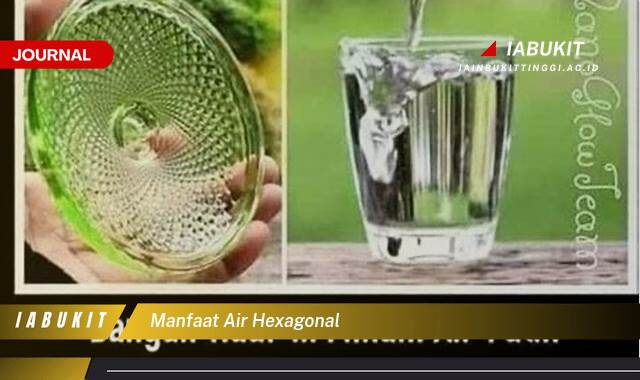 Inilah 9 Manfaat Air Hexagonal, Rahasia Kesehatan Alami untuk Tubuh Anda