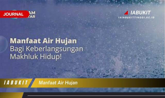 Inilah 9 Manfaat Air Hujan untuk Rumah Tangga dan Kebun Anda