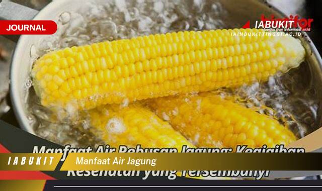 Inilah 10 Manfaat Air Jagung, Rahasia Kesehatan Tersembunyi dan Cara Membuatnya di Rumah