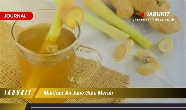 Inilah 9 Manfaat Air Jahe Gula Merah, Resep, Khasiat, dan Cara Membuatnya Sendiri di Rumah