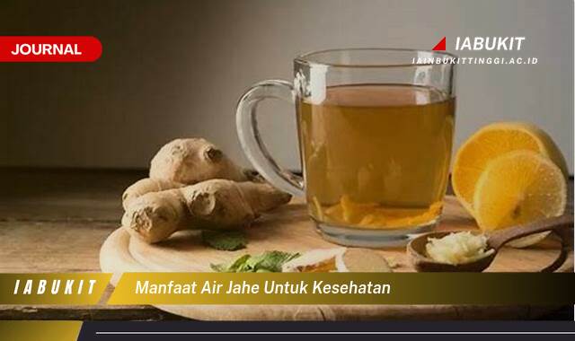 Inilah 8 Manfaat Air Jahe untuk Kesehatan, Khasiat Lengkap, Cara Membuat, dan Efek Sampingnya