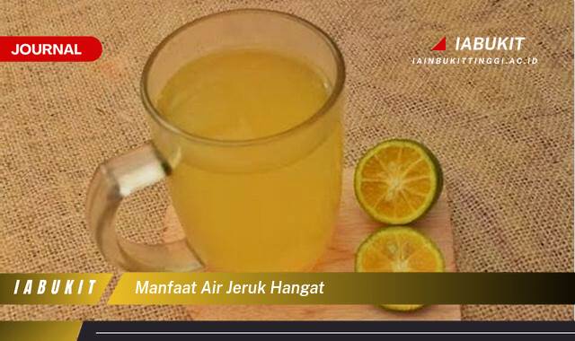 Inilah 10 Manfaat Air Jeruk Hangat untuk Kesehatan Tubuh Anda