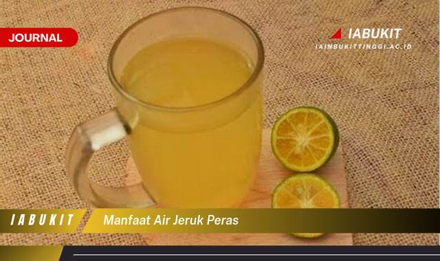 Inilah 10 Manfaat Air Jeruk Peras untuk Kesehatan Tubuh Anda