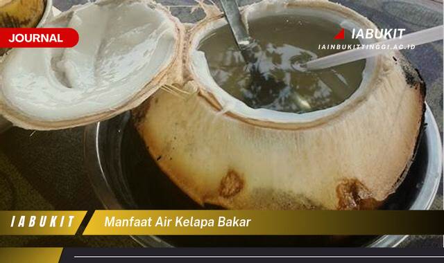 Inilah 10 Manfaat Air Kelapa Bakar untuk Kesehatan Tubuh Anda