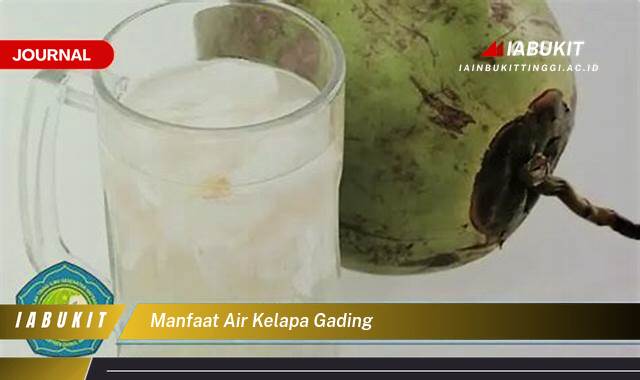 Inilah 8 Manfaat Air Kelapa Gading, Rahasia Kesehatan Alami untuk Kulit Glowing dan Pencernaan Lancar