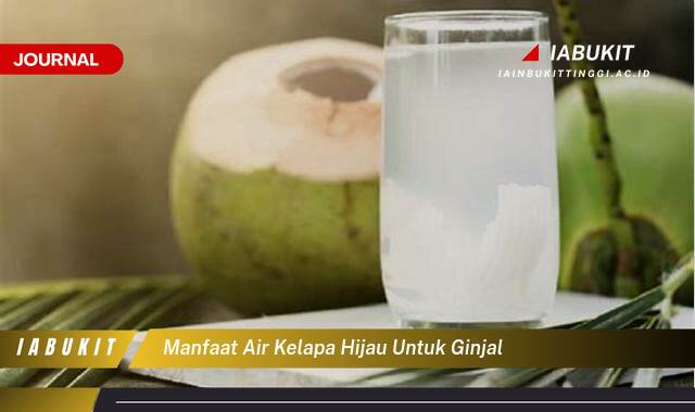 Inilah 9 Manfaat Air Kelapa Hijau untuk Kesehatan Ginjal Anda, Mencegah, Memelihara, dan Mengobati