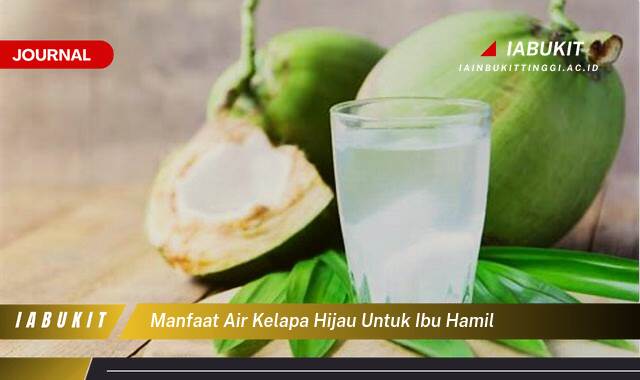 Inilah 10 Manfaat Air Kelapa Hijau untuk Ibu Hamil,  Mitos vs. Fakta dan Tips Aman Mengonsumsinya