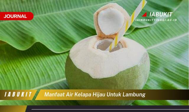 Inilah 10 Manfaat Air Kelapa Hijau untuk Lambung, Meredakan Maag dan Gangguan Pencernaan Lainnya