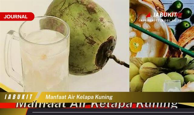 Inilah 10 Manfaat Air Kelapa Kuning untuk Kesehatan Tubuh Anda