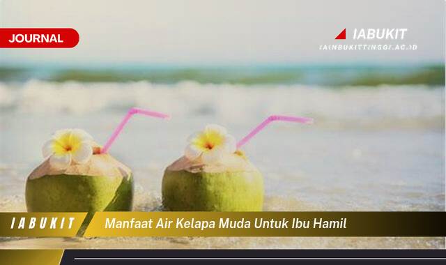 Inilah 9 Manfaat Air Kelapa Muda untuk Ibu Hamil, Segudang Kebaikan untuk Kesehatan Bunda dan Janin