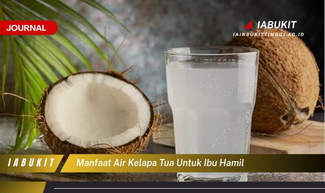 Inilah 9 Manfaat Air Kelapa Tua untuk Ibu Hamil,  Solusi Segar dan Alami untuk Kehamilan yang Sehat