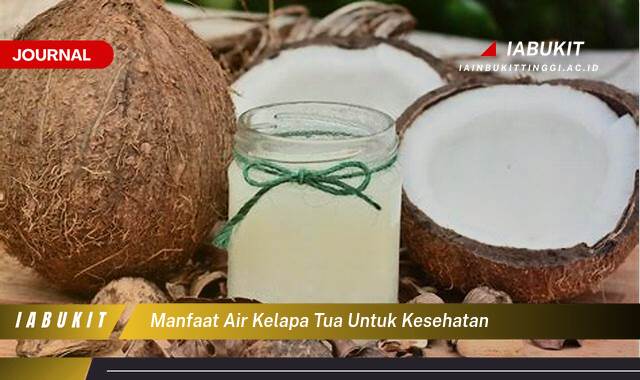 Inilah 9 Manfaat Air Kelapa Tua untuk Kesehatan Tubuh Anda Secara Keseluruhan