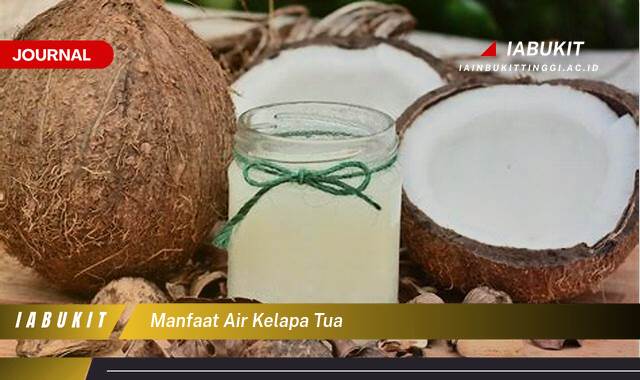 Inilah 8 Manfaat Air Kelapa Tua untuk Kesehatan Tubuh Anda