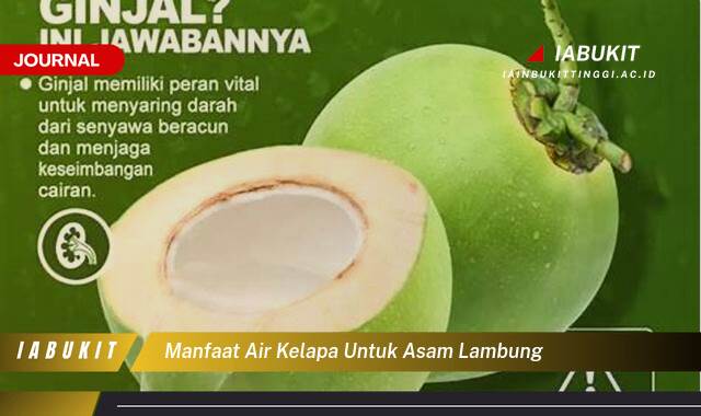 Inilah 8 Manfaat Air Kelapa untuk Asam Lambung, Meredakan Nyeri dan Mencegah Kambuh