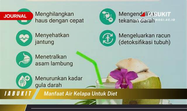 Inilah 8 Manfaat Air Kelapa untuk Diet Bantu Turunkan Berat Badan