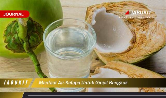 Inilah 8 Manfaat Air Kelapa untuk Ginjal Bengkak, Meredakan Gejala dan Mempercepat Penyembuhan