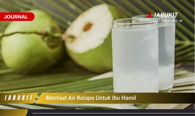 Inilah 8 Manfaat Air Kelapa untuk Ibu Hamil, Segar, Sehat, dan Aman untuk Kandungan