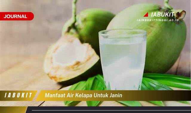 Inilah 8 Manfaat Air Kelapa untuk Janin, Nutrisi, Hidrasi, dan Kesehatan Optimal