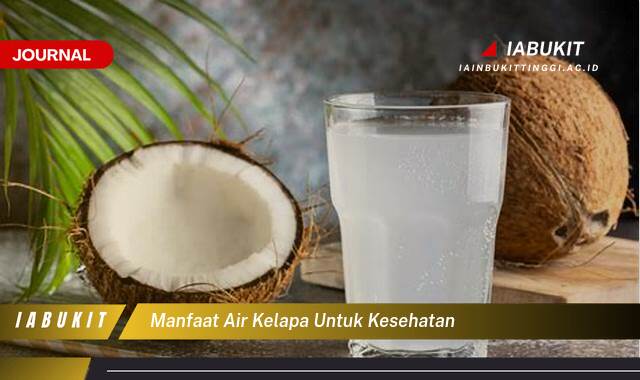 Inilah 8 Manfaat Air Kelapa untuk Kesehatan, Panduan Lengkap dan Terperinci