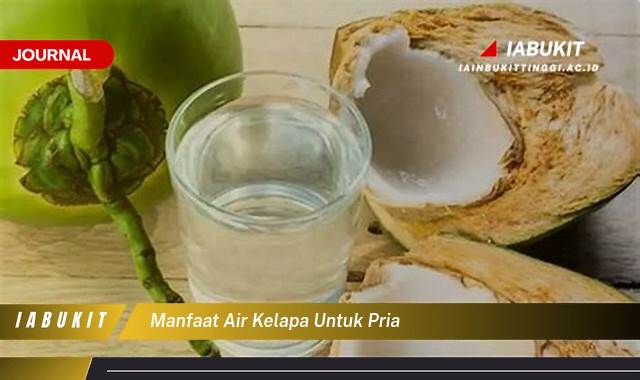 Inilah 8 Manfaat Air Kelapa untuk Pria, Meningkatkan Kesehatan dan Vitalitas