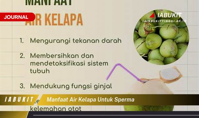 Inilah 9 Manfaat Air Kelapa untuk Sperma, Meningkatkan Kualitas dan Kesuburan?