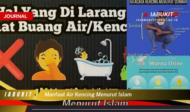 Inilah 8 Manfaat Air Kencing Menurut Islam, Panduan Lengkap dan Penjelasan Ilmiah