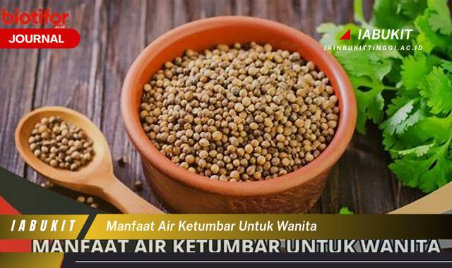 Inilah 8 Manfaat Air Ketumbar untuk Wanita, Kesehatan, Kecantikan, dan Kesuburan Inilah 8 Manfaat Air Ketumbar untuk Wanita, Kesehatan, Kecantikan, dan Kesuburan