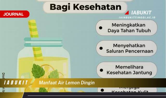 Inilah 8 Manfaat Air Lemon Dingin untuk Kesehatan, Kecantikan, dan Diet