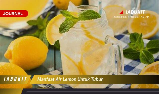 Inilah 9 Manfaat Air Lemon untuk Tubuh, Meningkatkan Imunitas, Menyehatkan Kulit, dan Lainnya