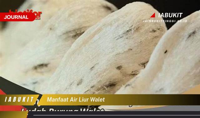 Inilah 8 Manfaat Air Liur Walet untuk Kesehatan dan Kecantikan Anda Inilah 8 Manfaat Air Liur Walet untuk Kesehatan dan Kecantikan Anda