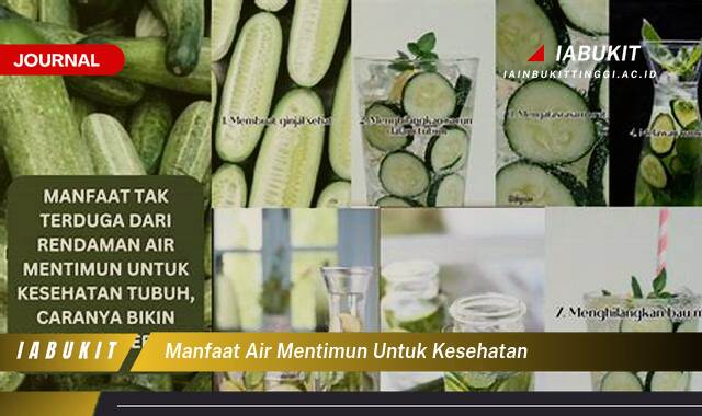 Inilah 8 Manfaat Air Mentimun untuk Kesehatan, Lebih dari Sekedar Hidrasi, Bantu Turunkan Berat Badan dan Jaga Jantung!
