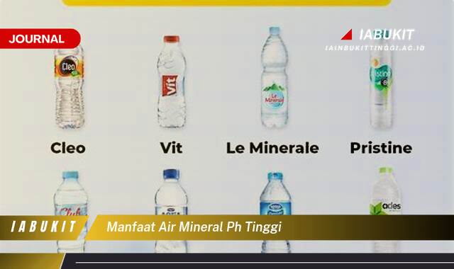 Inilah 9 Manfaat Air Mineral pH Tinggi untuk Kesehatan Tubuh Anda Inilah 9 Manfaat Air Mineral pH Tinggi untuk Kesehatan Tubuh Anda