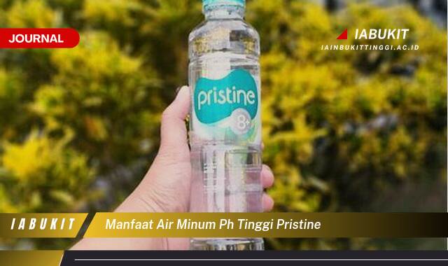 Inilah 10 Manfaat Air Minum pH Tinggi Pristine untuk Kesehatan Tubuh Anda Inilah 10 Manfaat Air Minum pH Tinggi Pristine untuk Kesehatan Tubuh Anda