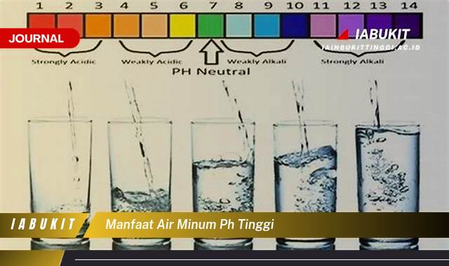 Inilah 8 Manfaat Air Minum pH Tinggi untuk Kesehatan Tubuh Anda