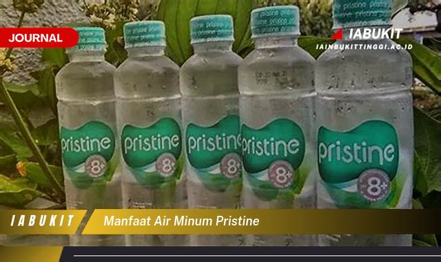 Inilah 10 Manfaat Air Minum Pristine untuk Kesehatan Tubuh Anda